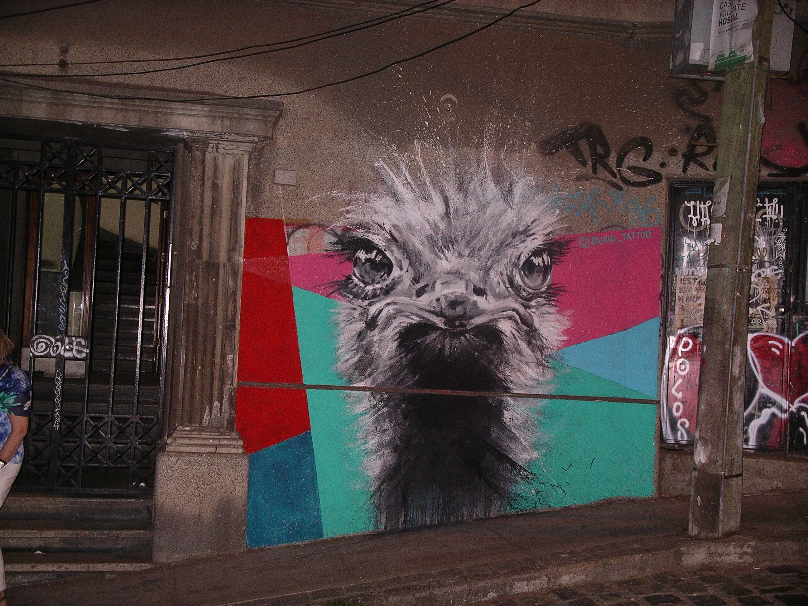 Mural of a giant angry rhea's face